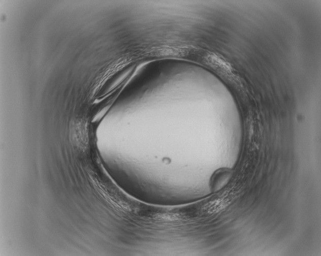 X0000059040250200510171855