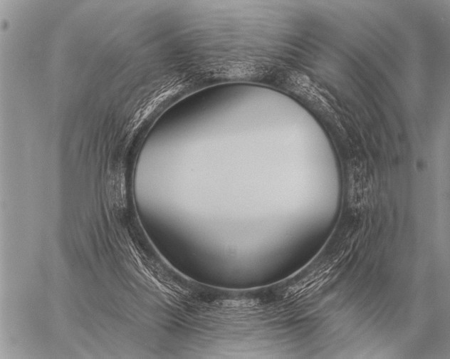 X0000059040251200510171855