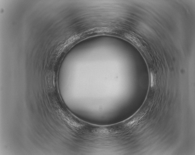 X0000059040253200510171855