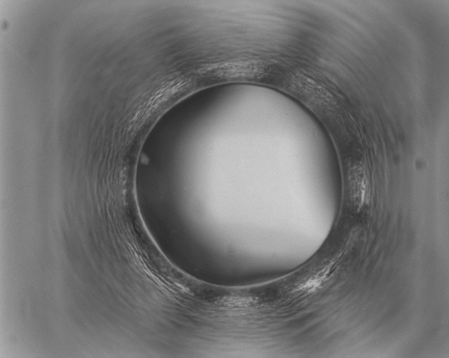 X0000059040255200510171856