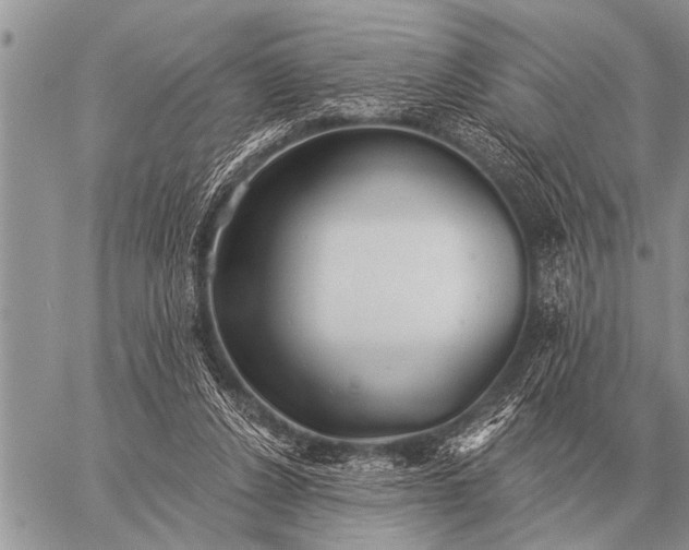 X0000059040256200510171856