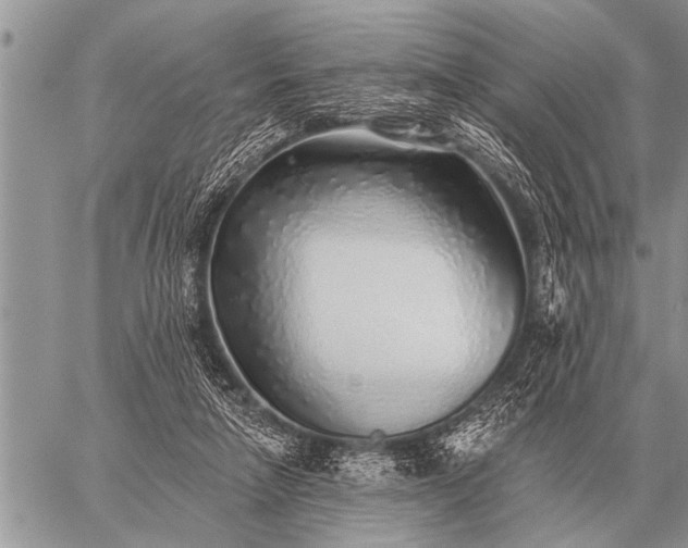 X0000059040258200510171856