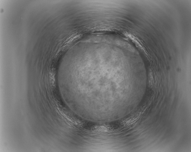 X0000059040259200510171856