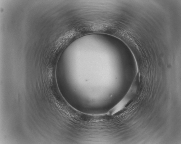 X0000059040260200510171856