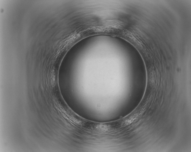 X0000059040261200510171856