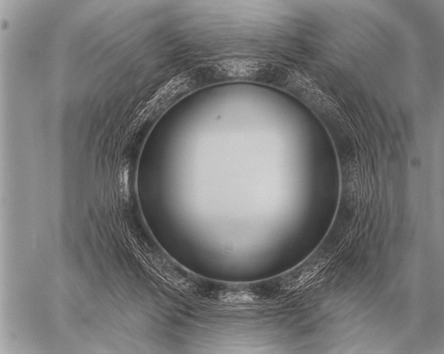 X0000059040262200510171856