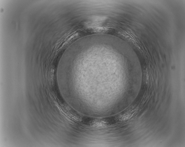 X0000059040263200510171856