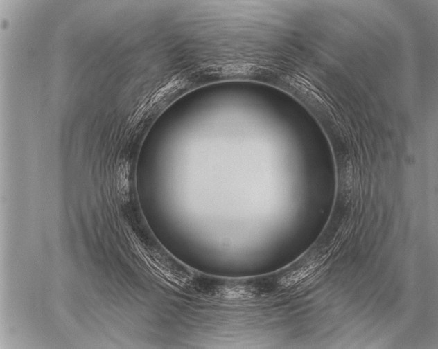 X0000059040264200510171856