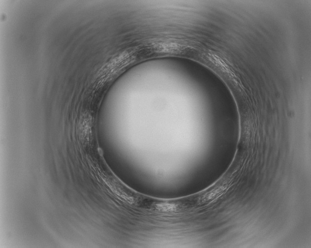 X0000059040265200510171856