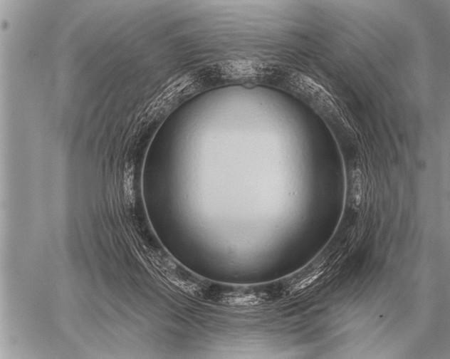 X0000059040267200510171856