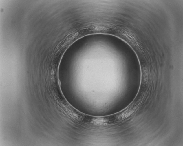 X0000059040269200510171856