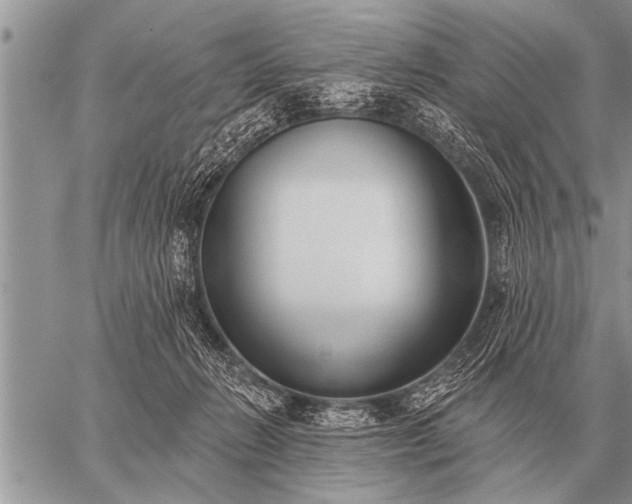 X0000059040270200510171856