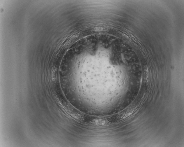 X0000059040272200510171856