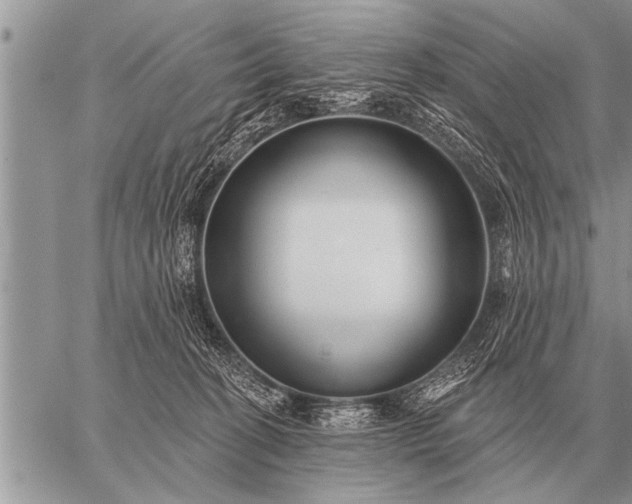 X0000059040274200510171856