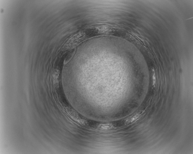 X0000059040275200510171856