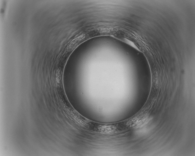 X0000059040277200510171856