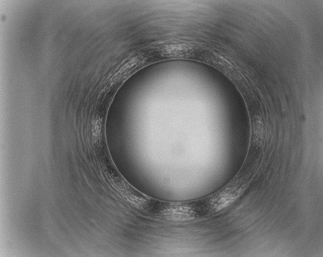 X0000059040278200510171856