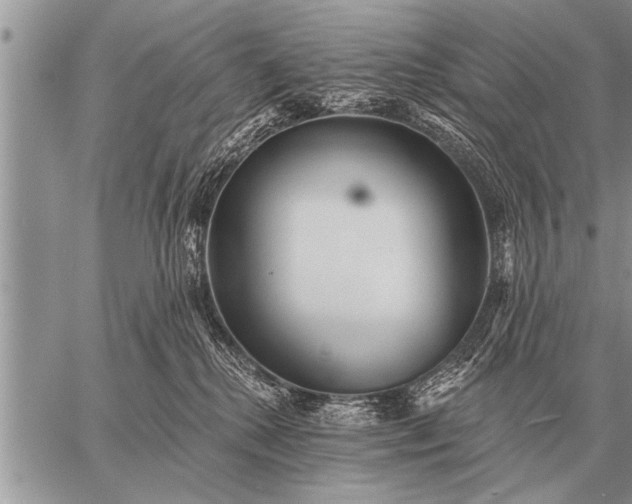 X0000059040280200510171856