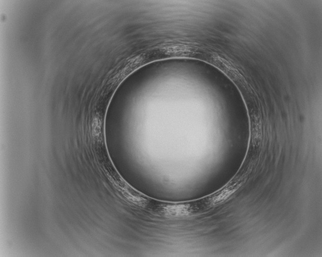 X0000059040281200510171856