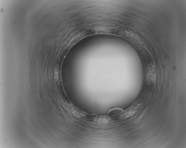 X0000059040282200510171856