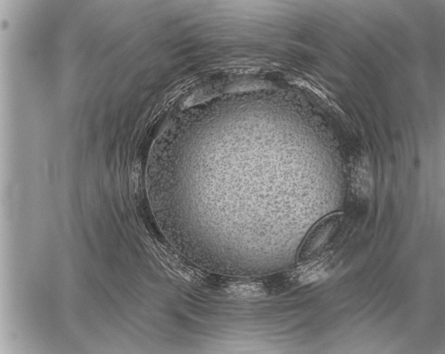 X0000059040283200510171856