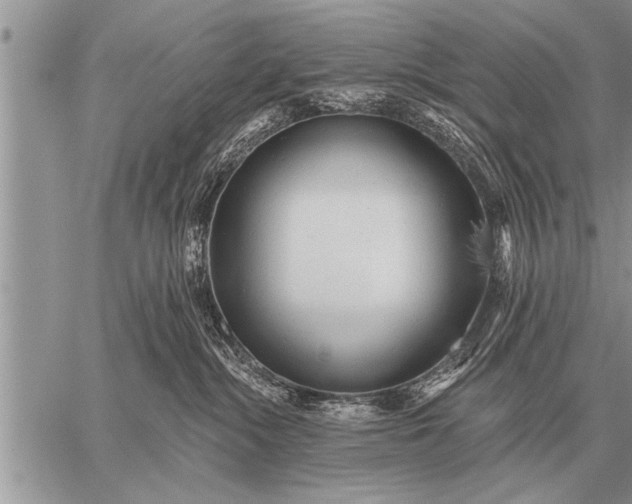 X0000059040284200510171856