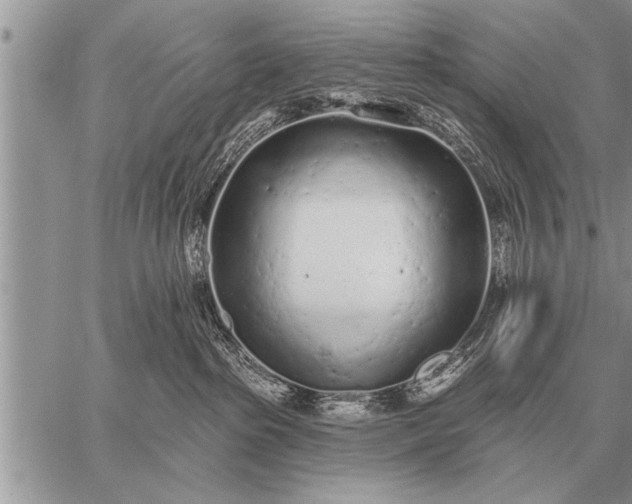 X0000059040285200510171856