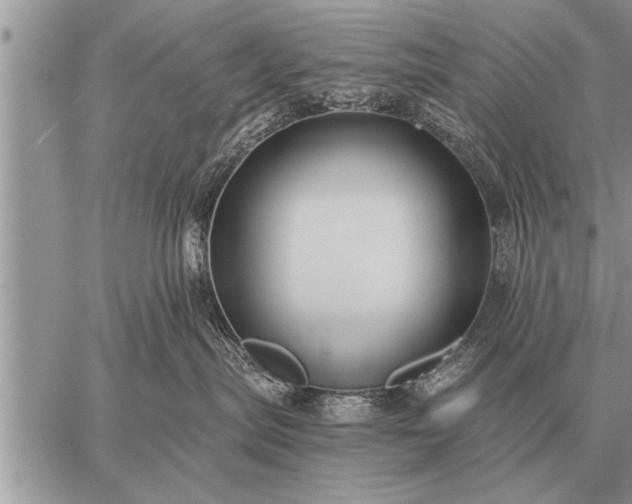 X0000059040287200510171856