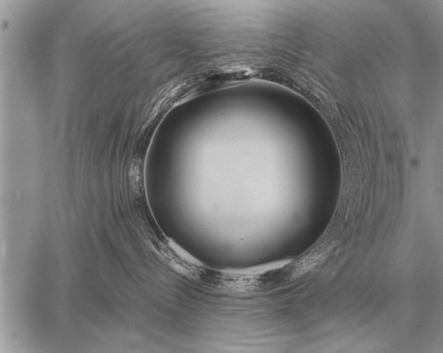 X0000059040288200510171856