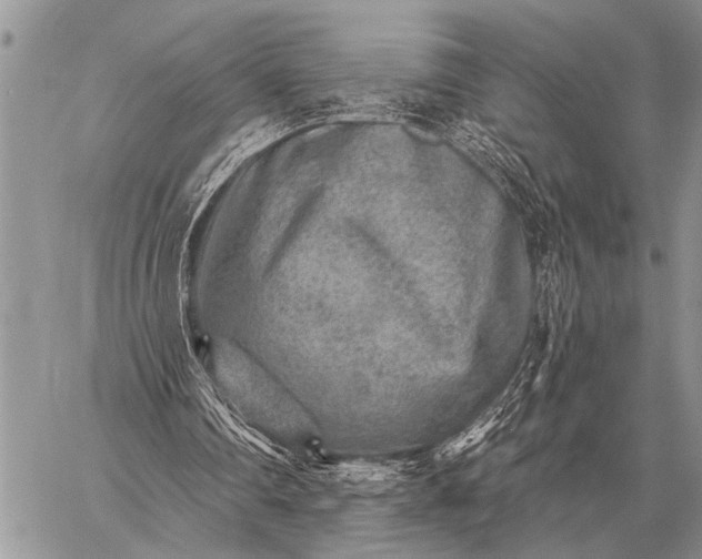 X0000059040290200510171855