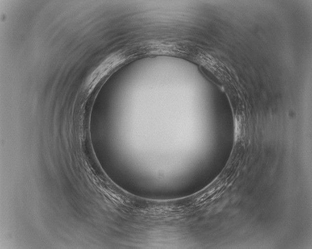 X0000059040291200510171855