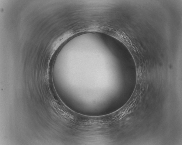 X0000059040292200510171855