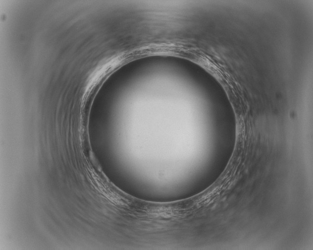 X0000059040293200510171855