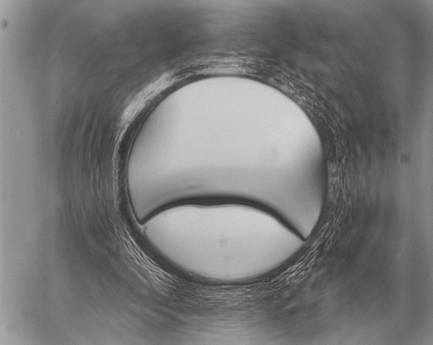 X0000059040296200510171855