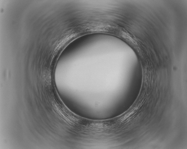 X0000059040298200510171855