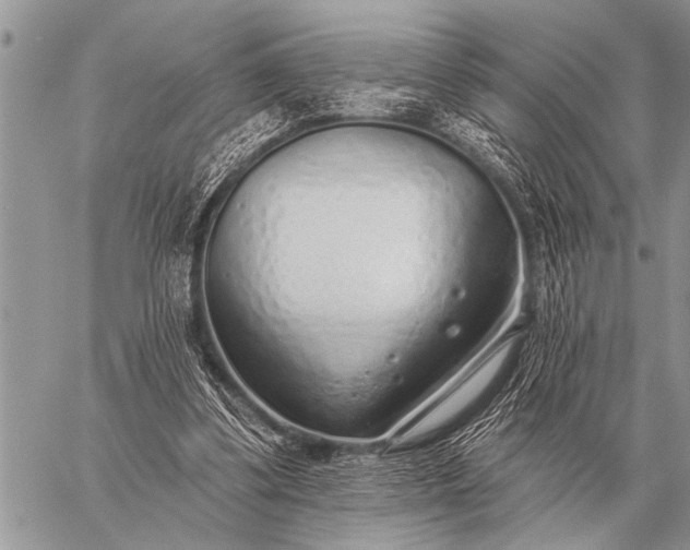 X0000059040299200510171855