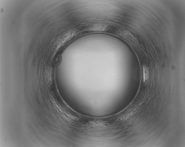 X0000059040300200510171855