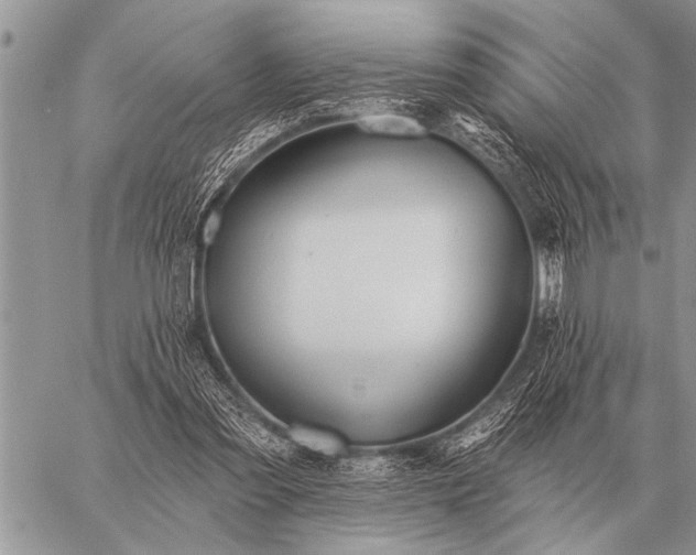 X0000059040301200510171855