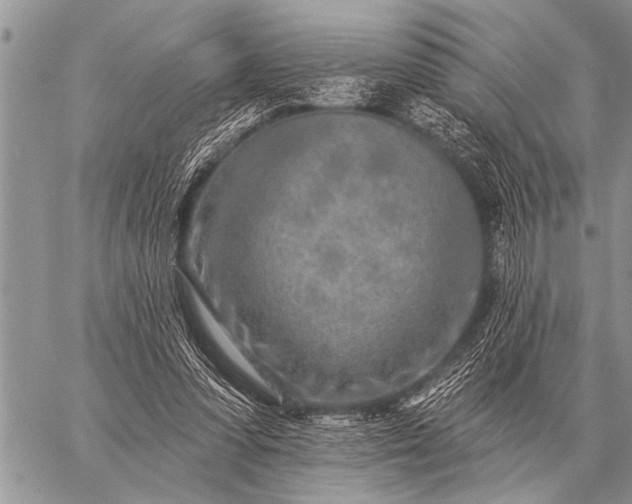 X0000059040303200510171855