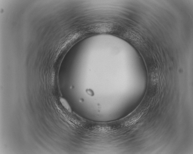 X0000059040304200510171855