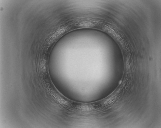 X0000059040305200510171855