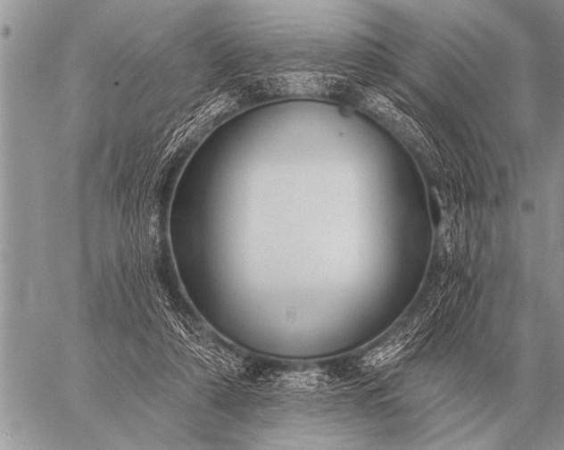 X0000059040306200510171855