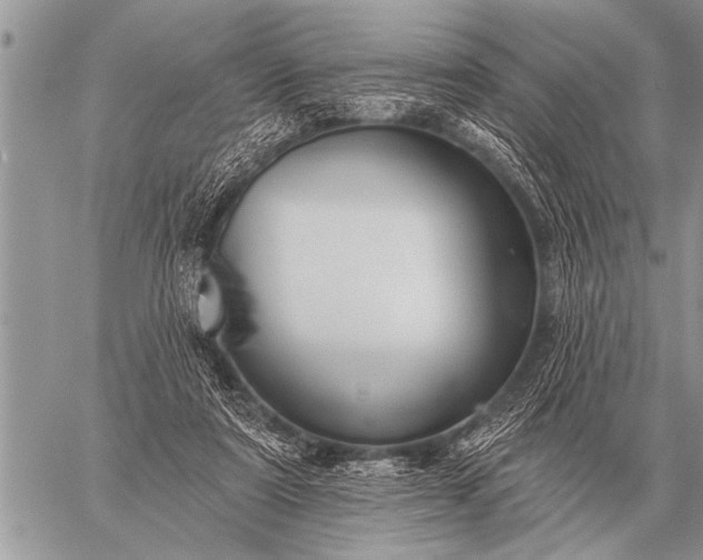 X0000059040307200510171855