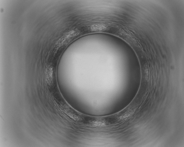 X0000059040308200510171855