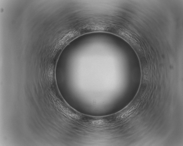 X0000059040309200510171855