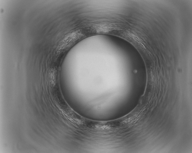 X0000059040311200510171855