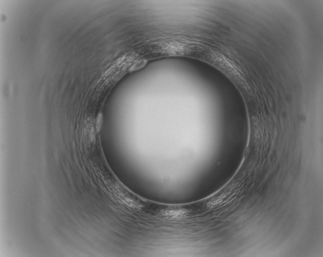 X0000059040313200510171855