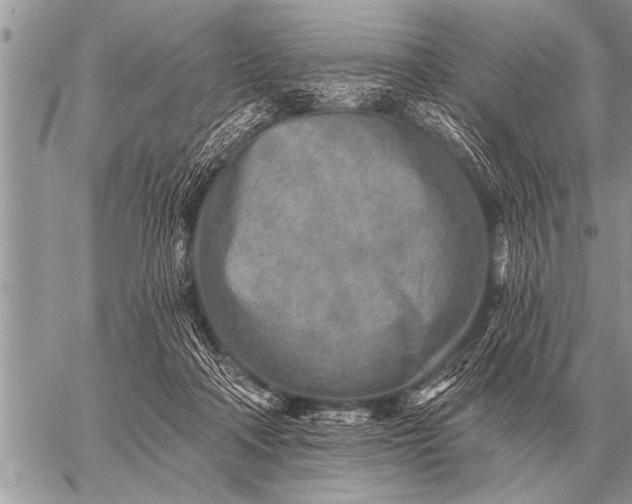 X0000059040314200510171855