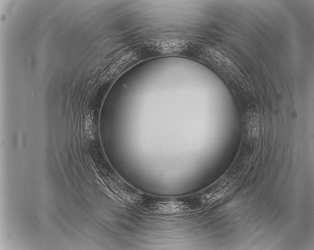 X0000059040316200510171855