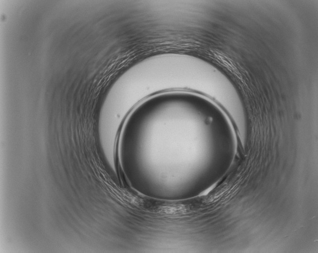 X0000059040317200510171855